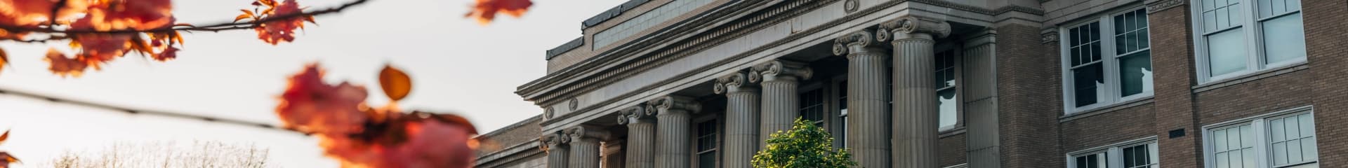 Financial Aid Impact